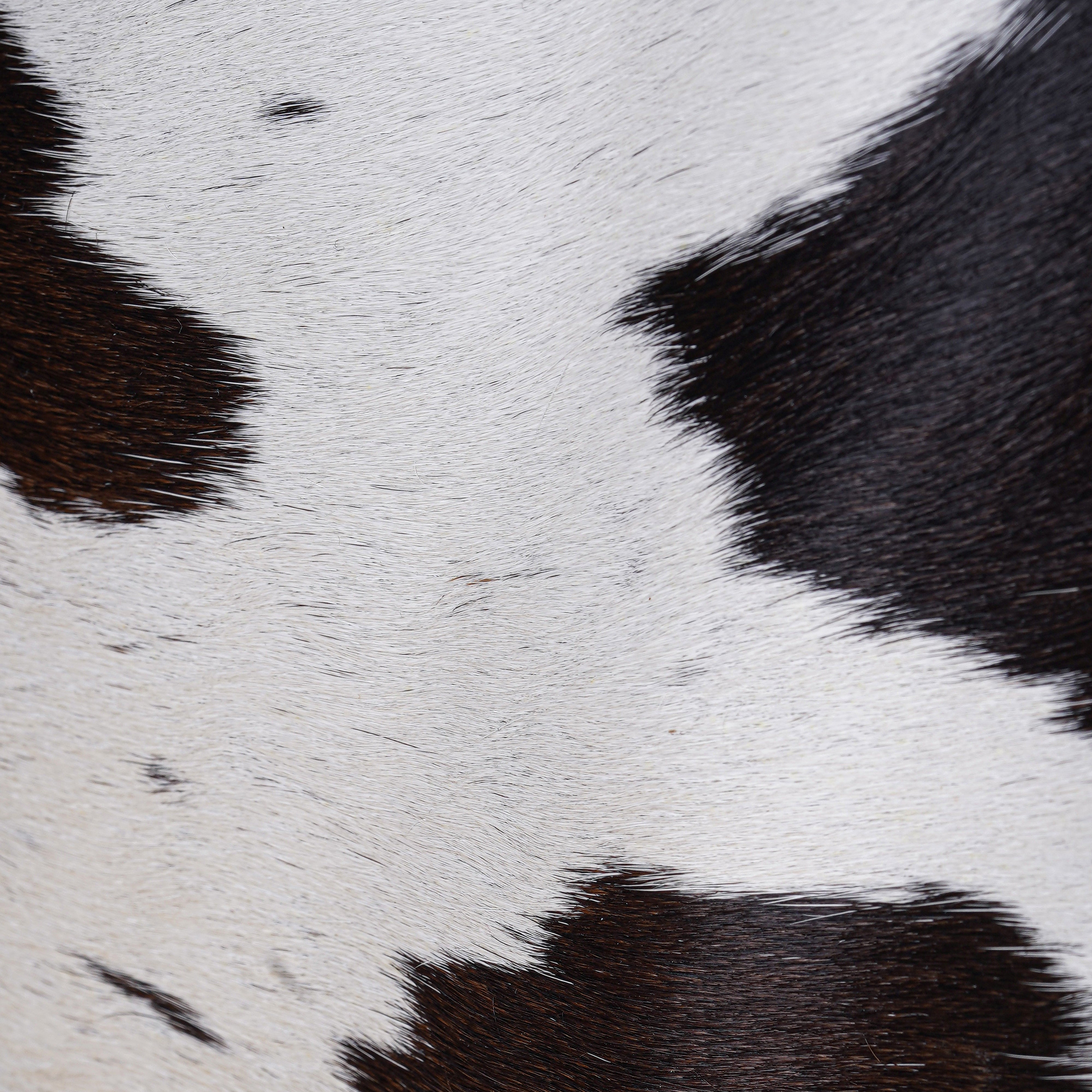 Cowhide Weekender – Leather Bag Luxe for Bold Travellers