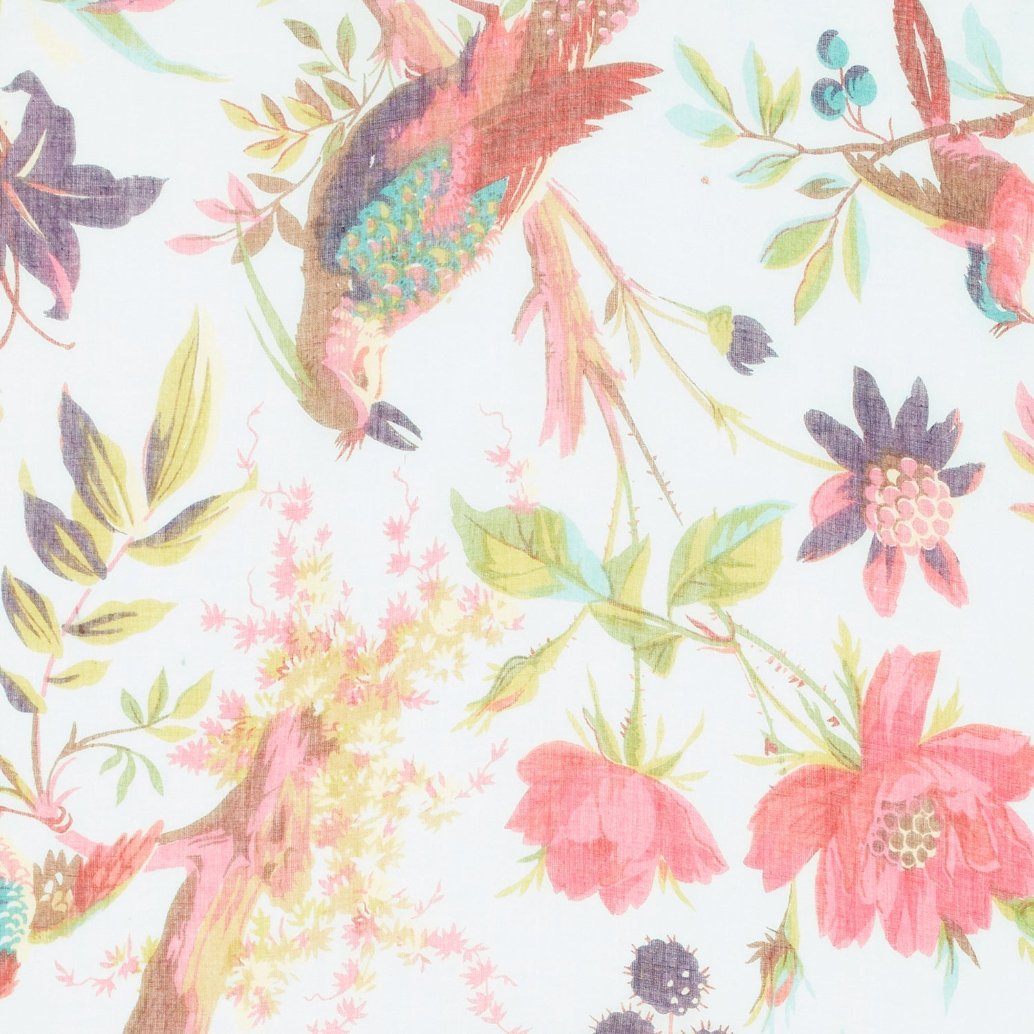 Secret Oasis 100% Cotton Scarf